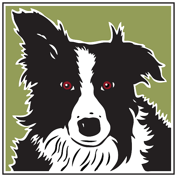 Kenai Border Collie by Linda Ruiz-Lozito Kenai Border Collie by Linda Ruiz-Lozito